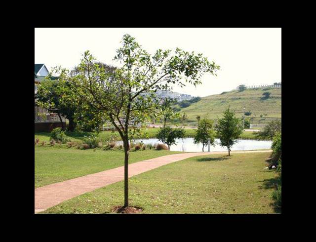 1 BEDROOM APARTMENT FOR SALE IN KINDLEWOOD ESTATE